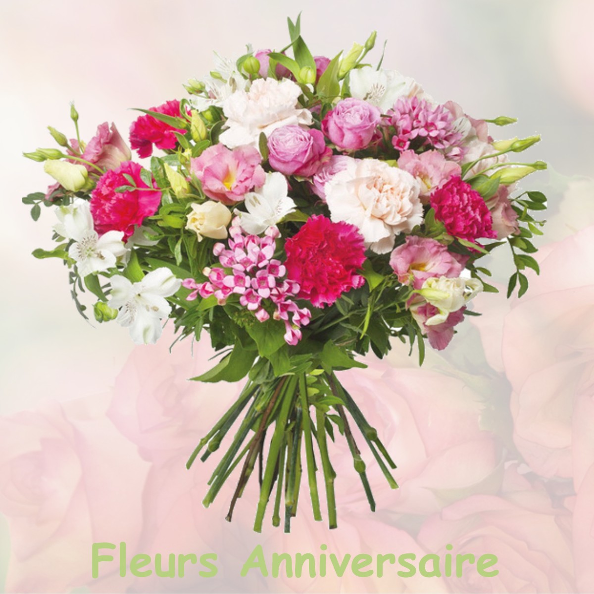 fleurs anniversaire BRAGNY-SUR-SAONE